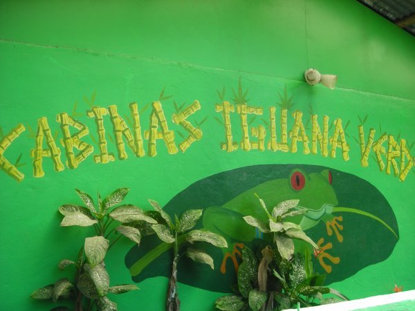 Green Iguana Inn
