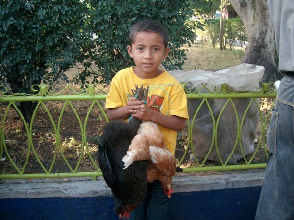 Boy Selling Chickens