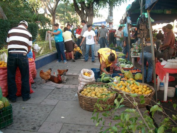 Friday´s Organic Market