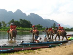 Elephants -  Vang Vieng