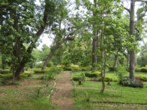 Chutes PhaPheng Waterfalls - Jardins / Gardens