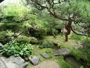Magnifique jardin / Beautiful garden - Residence du samourai / Samourai Residence - Takahashi