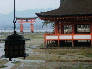 Torii flottant, au loin... / Floating Torii in the background - Sanctuaire Itsukushima jinja Shrine - MiyaJima