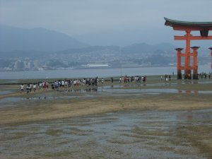 C'est beau de voir que l'endroit est visite de centaines d'etudiants... / It's nice to see that hundreds of students visit the site... - Sanctuaire Itsukushima jinja Shrine - MiyaJima