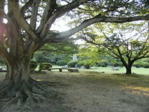 Jardin / Garden - Chateau d'Himeji Castle - Himeji