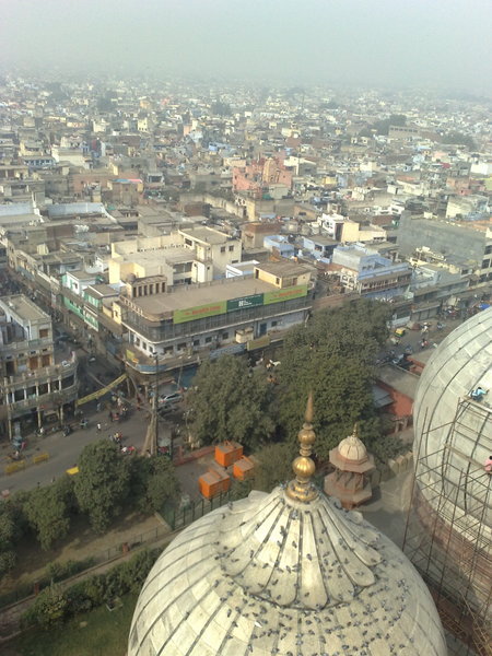 Delhi dome