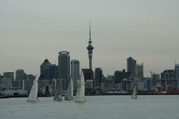 Auckland skyline 
