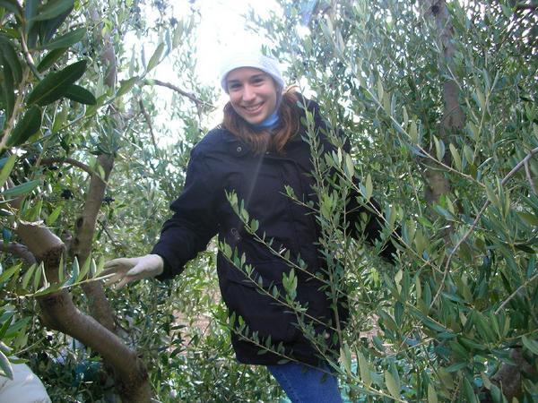 Me in an olive tree
