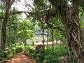 Tropical Spice Plantation, Goa