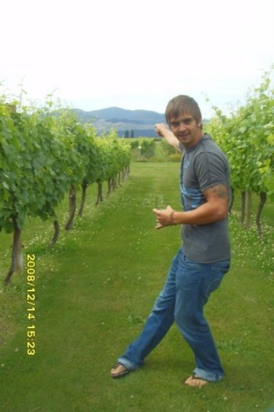 Lewis At The Winery