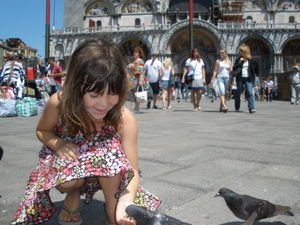 Friendly pigeons in Venice