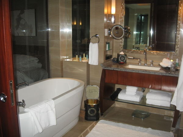 Our Hotel Bathtub