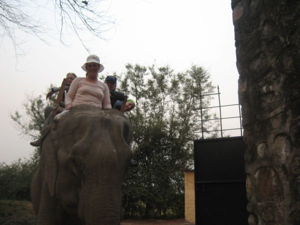 Leslie driving the Elephant