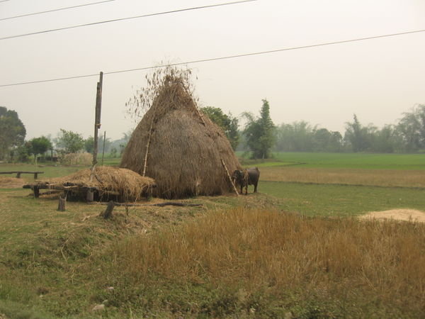 The village next to Chitwan