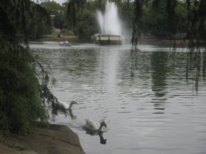 Zoo Lake