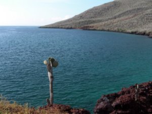 Galapagos View