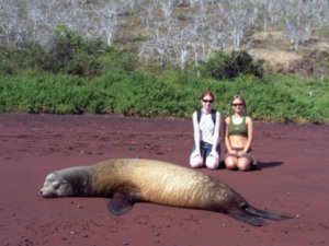 Galapagos Sea Lion and us!