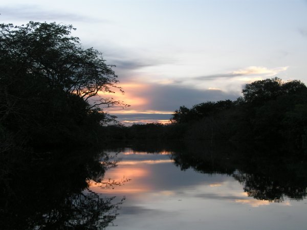Cuyabeno Sunset