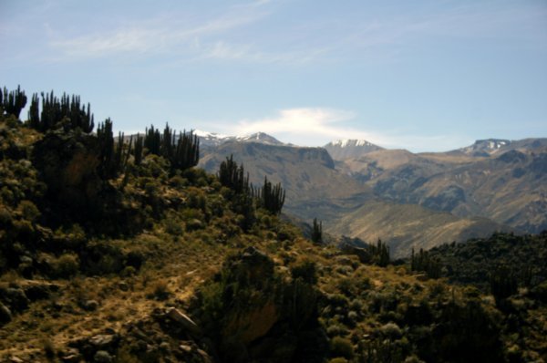 Somewhere in Colca Canyon.