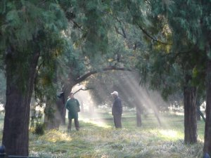 Temple of Heaven moring consitution