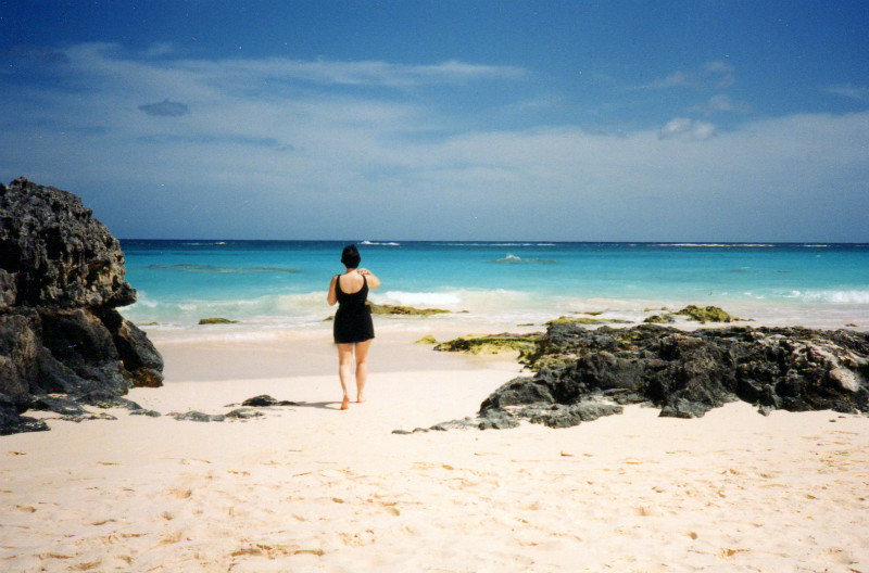 The Beach - Bermuda