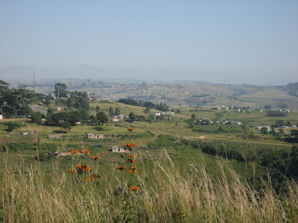 Transkei countryside