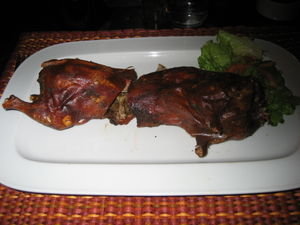 guinea pork