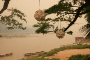 More Mekong