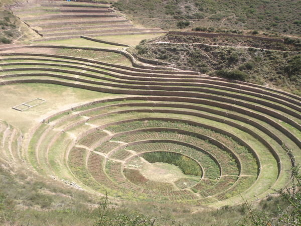 The ruins at Moray | Photo