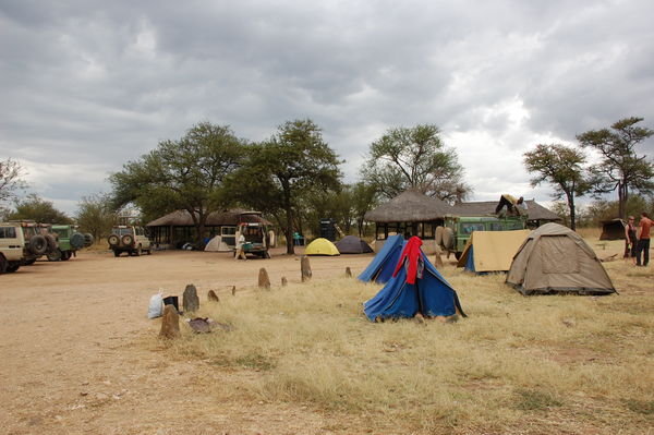 Camp in the Serengeti