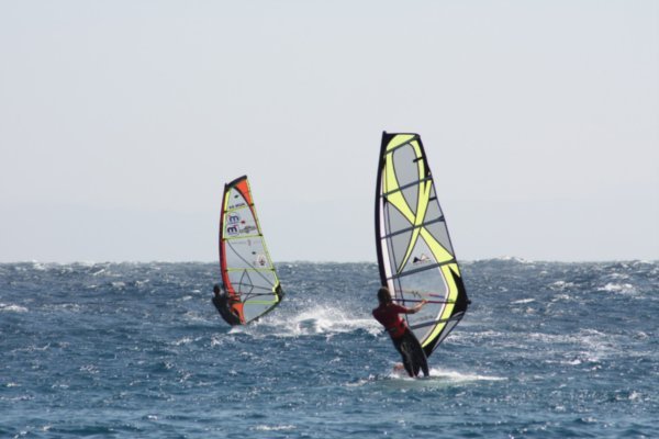 Windsurfers at Dahab