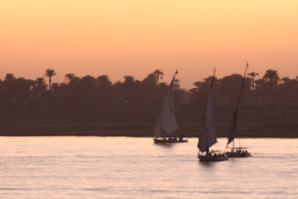 Feluccas at sunset on nile