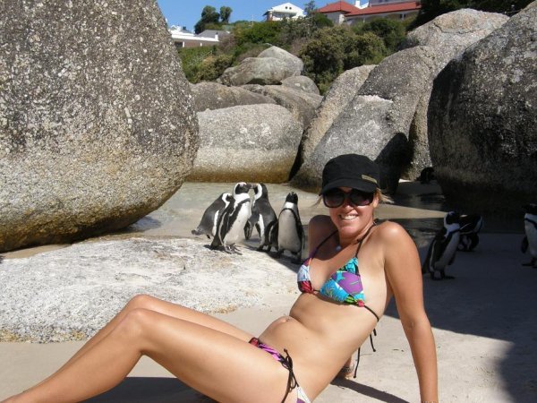 Friendly penguins