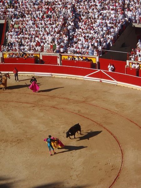 Bullfight 3