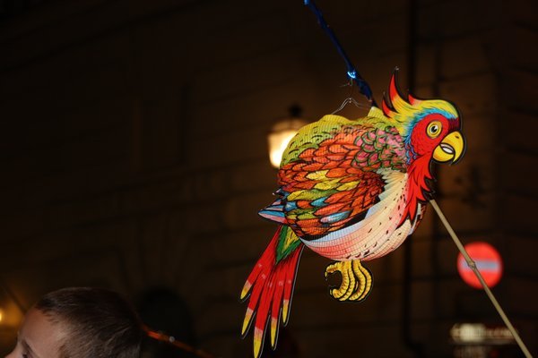 parrot lantern