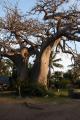 Baobap Campsite