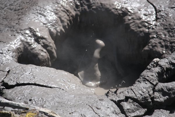Rotorua boiling mud