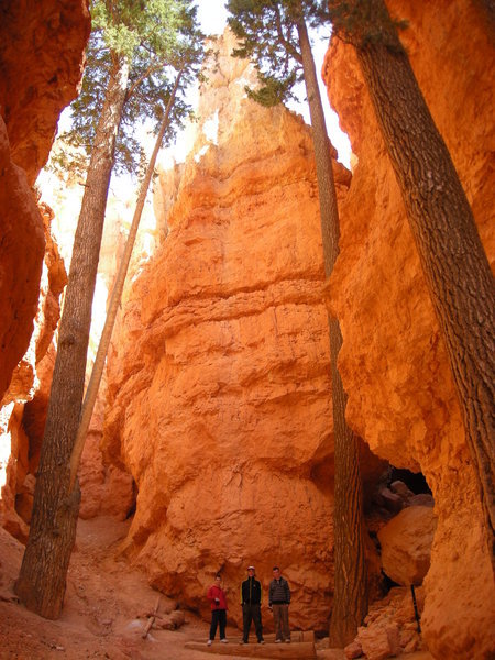The All Amazing Bryce Canyon