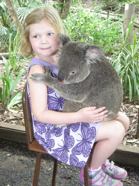 Cuddling a Koala at The Lone Pine Sanctuary