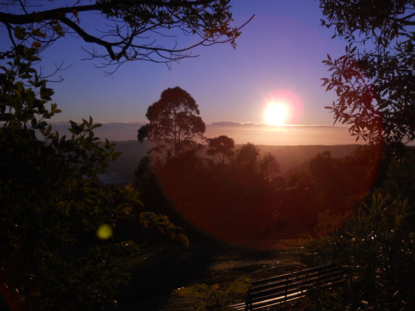 Sunrise at Binna Burra