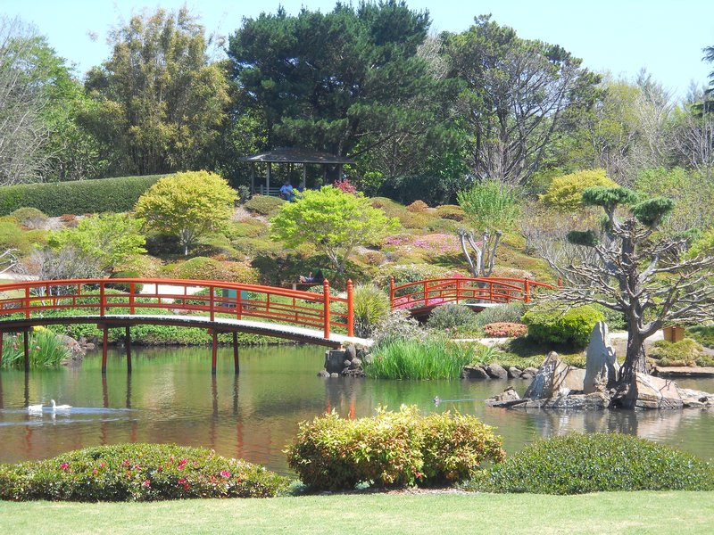 Japanese Gardens, Toowoomba.