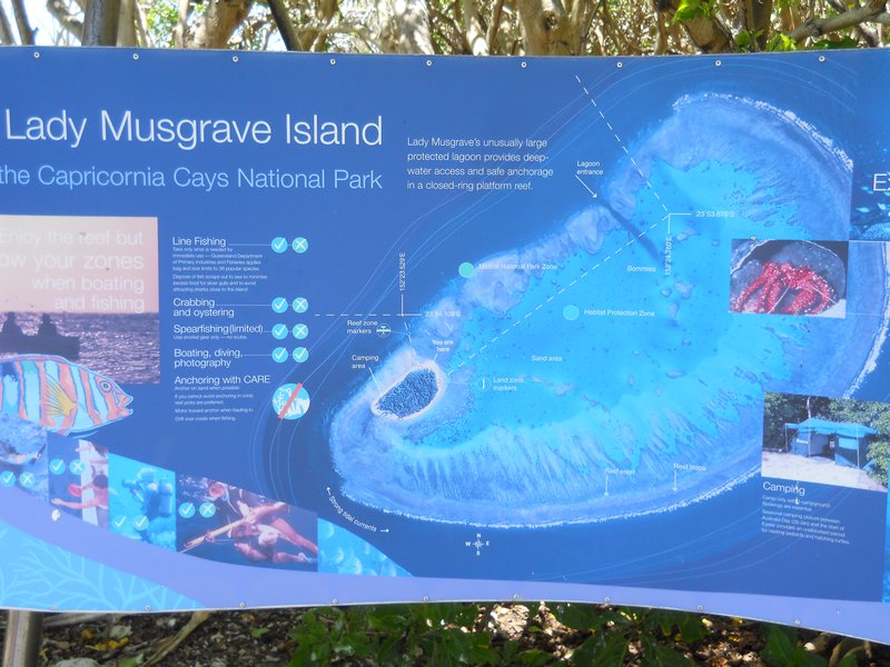 Lady Musgrave Island Map