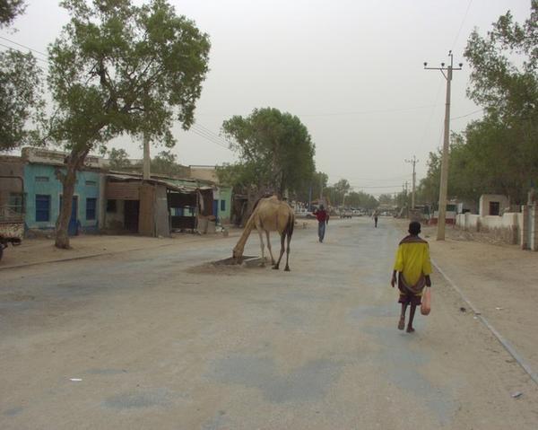 Street Scene from Berbera