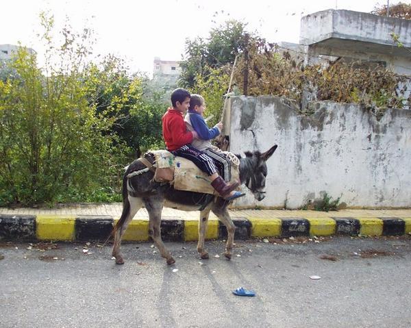 A man a boy and a donkey... er, wait, no