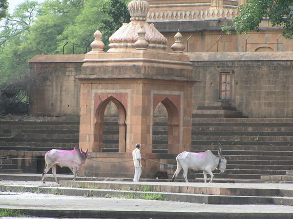 Shiva Temple at Menavali