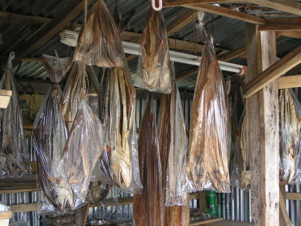 Dried Out Fish - the Most Edible Looking Food in Kuakata