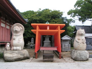 Tanuki Shrine at Temple 84