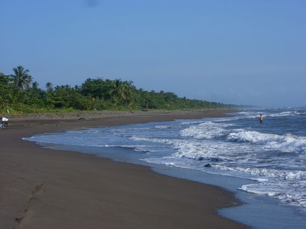 Tortuguero Beach