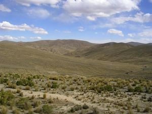 the Altiplano