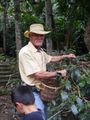 Columbian Coffee grower